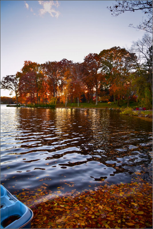 DSC_2979_1.jpg