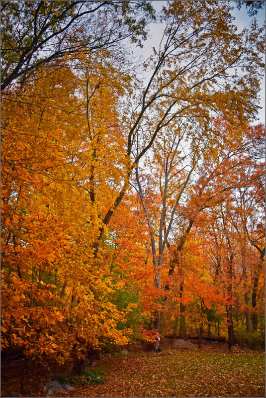 DSC_3022_1.jpg