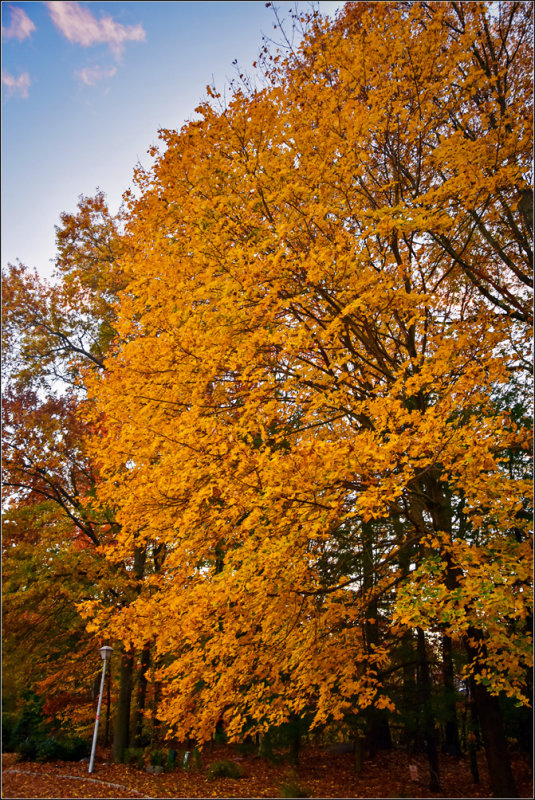 DSC_3037_1.jpg