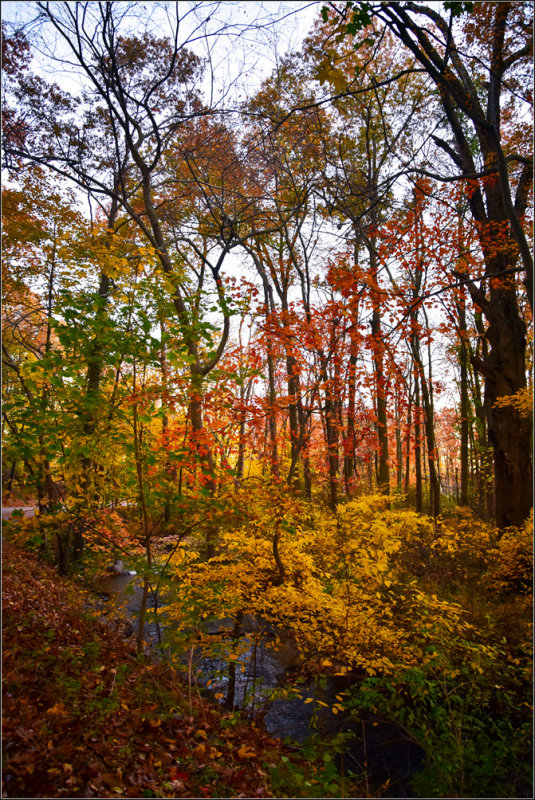 DSC_3045_1.jpg