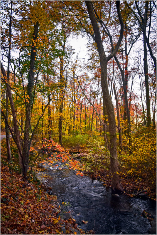 DSC_3049_1.jpg