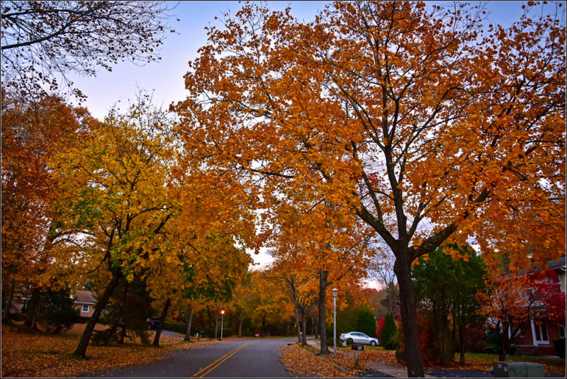 DSC_3060_1.jpg
