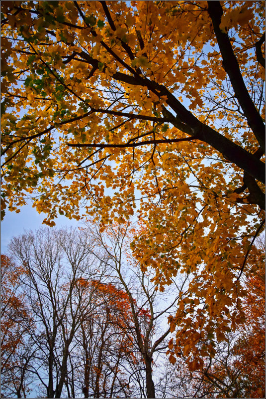 DSC_3075_1.jpg