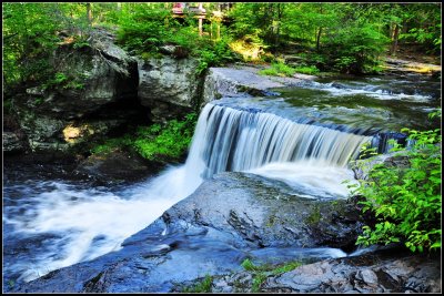 The Falls of George W. Childs Park