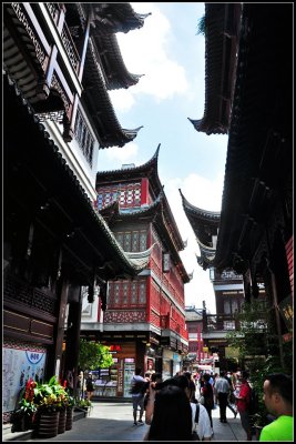 DSC_2505_1.jpg