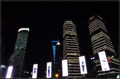 DSC_2993_1.jpg
