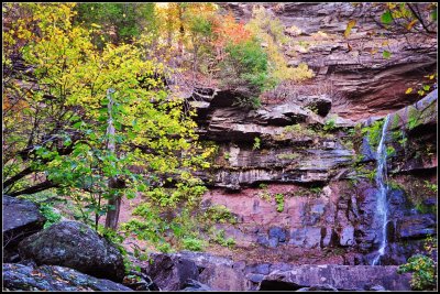 DSC_4545_1.jpg