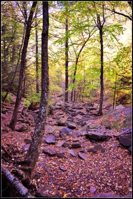 DSC_4558_1.jpg