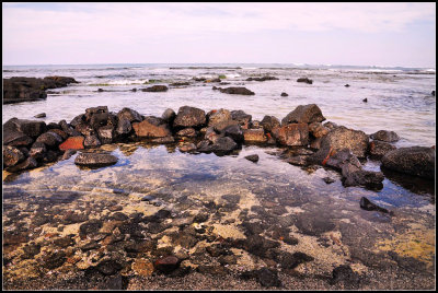 DSC_5866_1.jpg