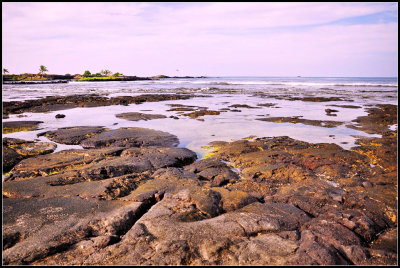 DSC_5872_1.jpg