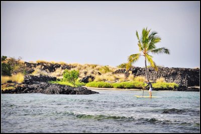 DSC_5906_1.jpg
