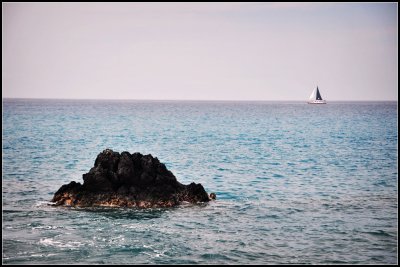 DSC_6039_1.jpg