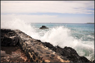 DSC_6047_1.jpg