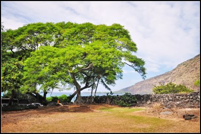 DSC_6054_1.jpg