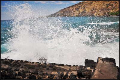 DSC_6065_1.jpg