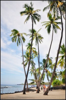 DSC_6096_1.jpg