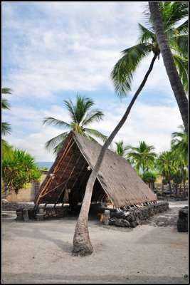 DSC_6097_1.jpg
