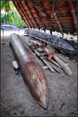 DSC_6098_1.jpg