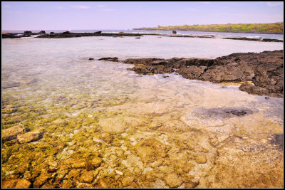 DSC_6135_1.jpg