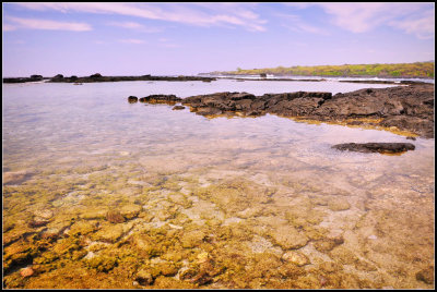 DSC_6143_1.jpg