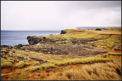 DSC_6313_1.jpg