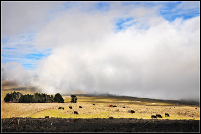 DSC_7094_1.jpg