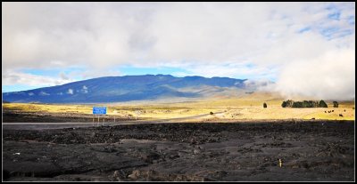 DSC_7101_1.jpg