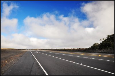 DSC_7102_1.jpg