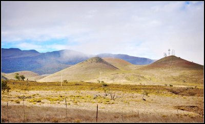 DSC_7111_1.jpg