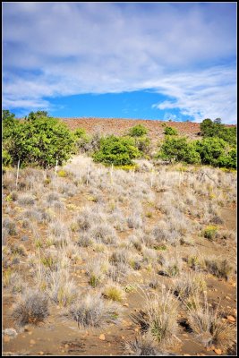DSC_7141_1.jpg
