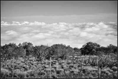 DSC_7149_1.jpg