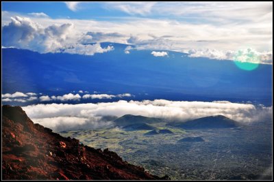 DSC_7190_1.jpg