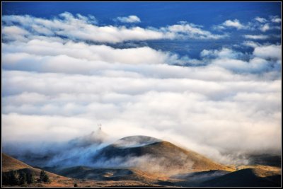 DSC_7217_1.jpg