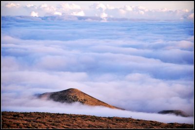 DSC_7219_1.jpg