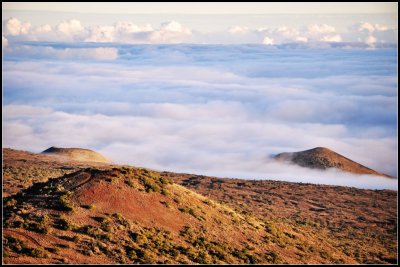 DSC_7220_1.jpg