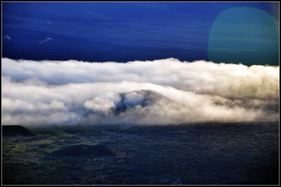 DSC_7222_1.jpg