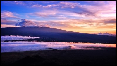 DSC_7310_1.jpg