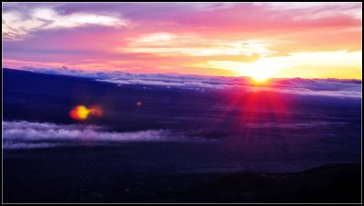 DSC_7375_1.jpg