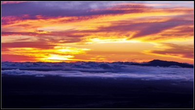 DSC_7398_1.jpg