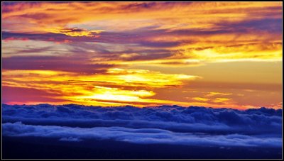 DSC_7402_1.jpg