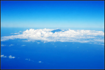 DSC_8752_1.jpg