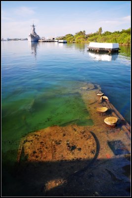DSC_8965_1.jpg