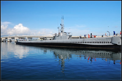 DSC_9052_1.jpg
