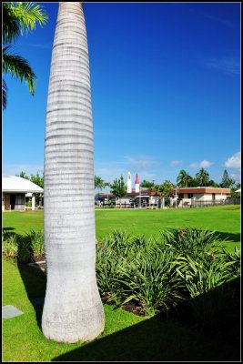 DSC_9064_1.jpg