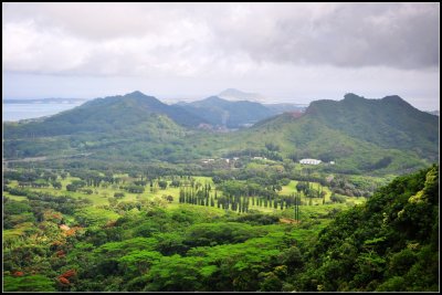 DSC_9076_1.jpg