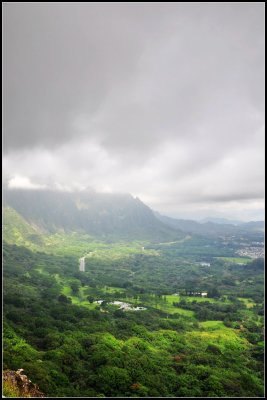 DSC_9089_1.jpg