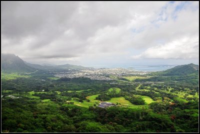 DSC_9093_1.jpg