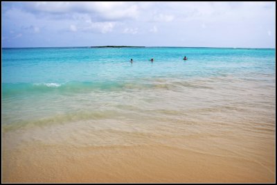 DSC_9176_1.jpg