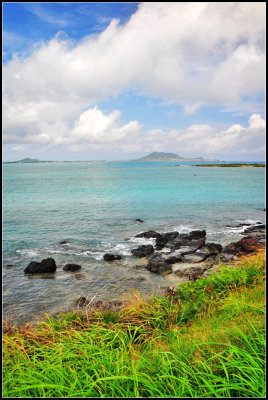DSC_9221_1.jpg