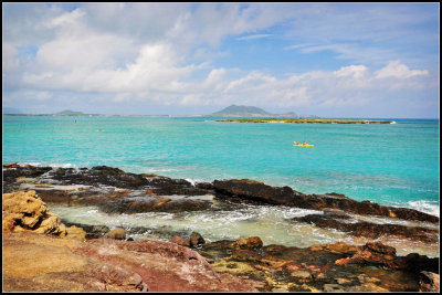 DSC_9233_1.jpg